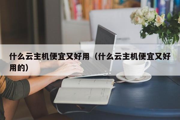 什么云主机便宜又好用（什么云主机便宜又好用的）