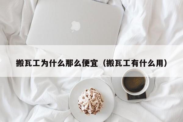 搬瓦工为什么那么便宜（搬瓦工有什么用）