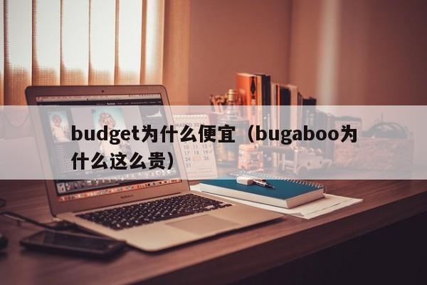 budget为什么便宜（bugaboo为什么这么贵）