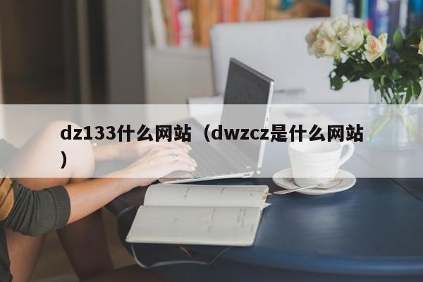 dz133什么网站（dwzcz是什么网站）