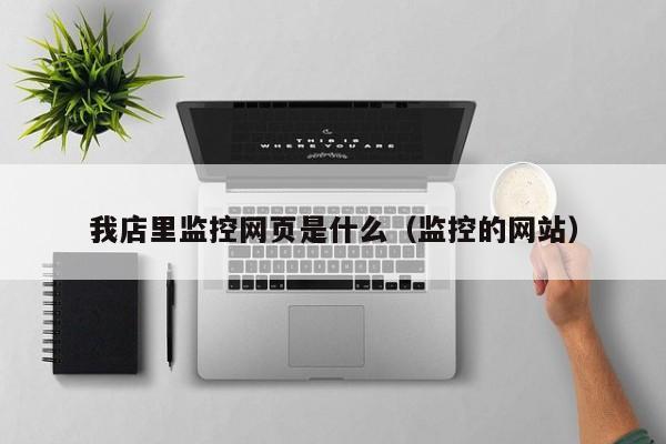 我店里监控网页是什么（监控的网站）