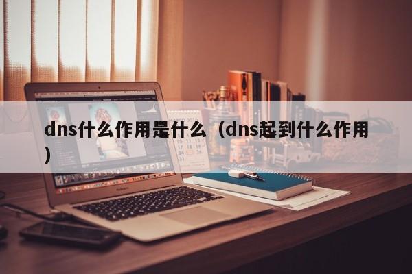 dns什么作用是什么（dns起到什么作用）