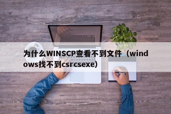 为什么WINSCP查看不到文件（windows找不到csrcsexe）