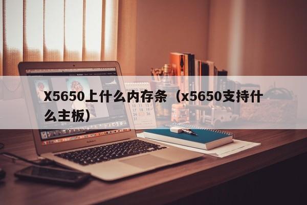 X5650上什么内存条（x5650支持什么主板）