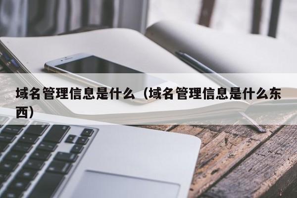 域名管理信息是什么（域名管理信息是什么东西）