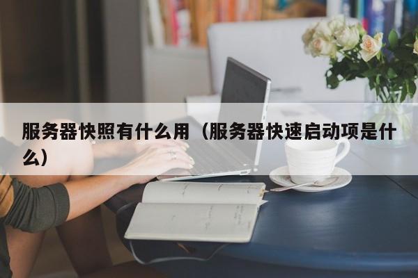 服务器快照有什么用（服务器快速启动项是什么）