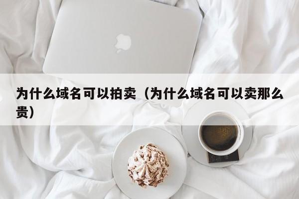 为什么域名可以拍卖（为什么域名可以卖那么贵）