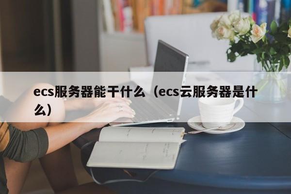 ecs服务器能干什么（ecs云服务器是什么）