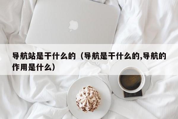 导航站是干什么的（导航是干什么的,导航的作用是什么）